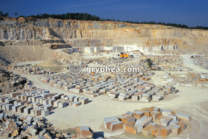 Carrière de calcaire (Comblanchien) - gryphea.com